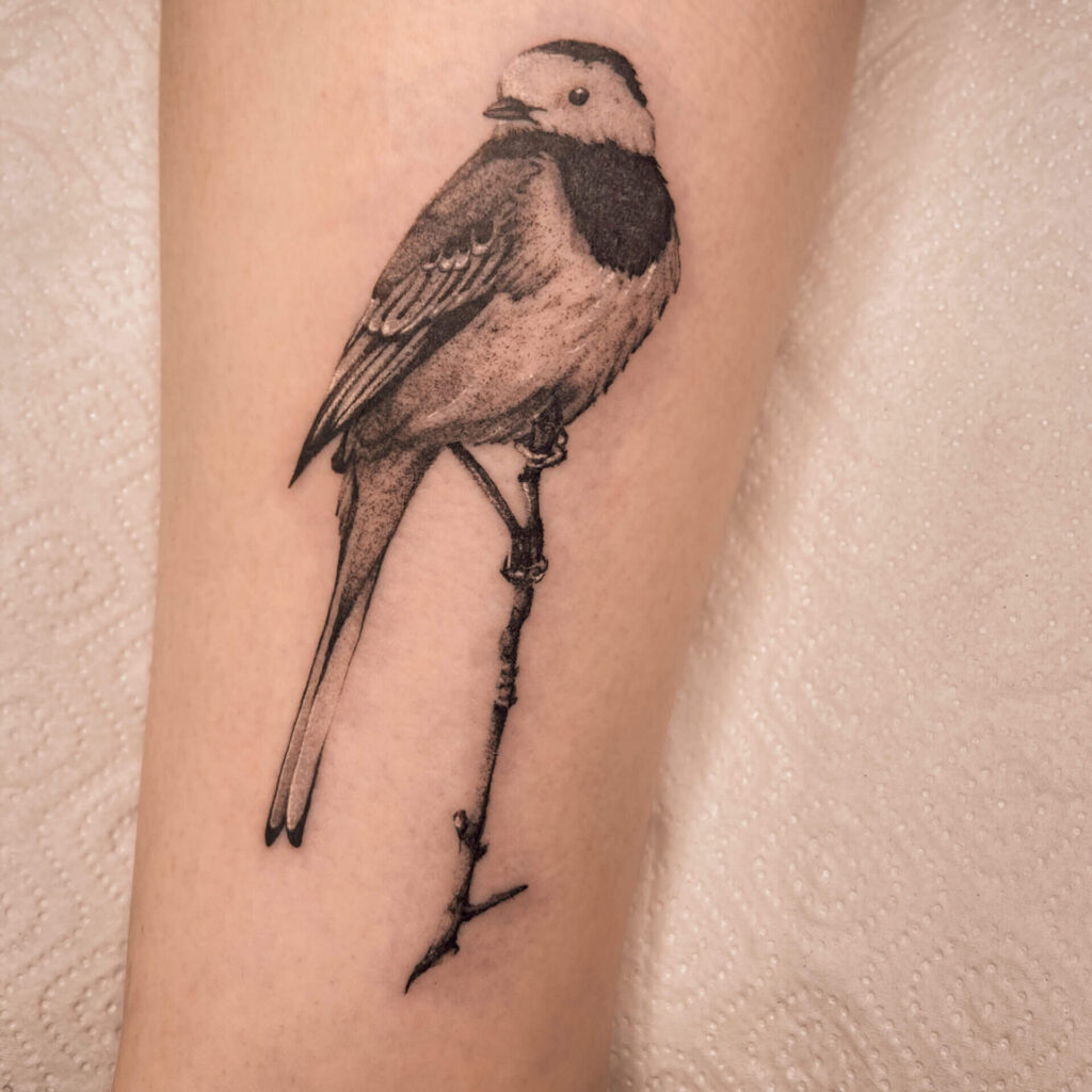 tatuaż Ptaszek na gałęzi